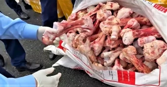 Bắt giữ xe tải chở 2,6 tấn nội tạng, xương động vật không rõ nguồn gốc