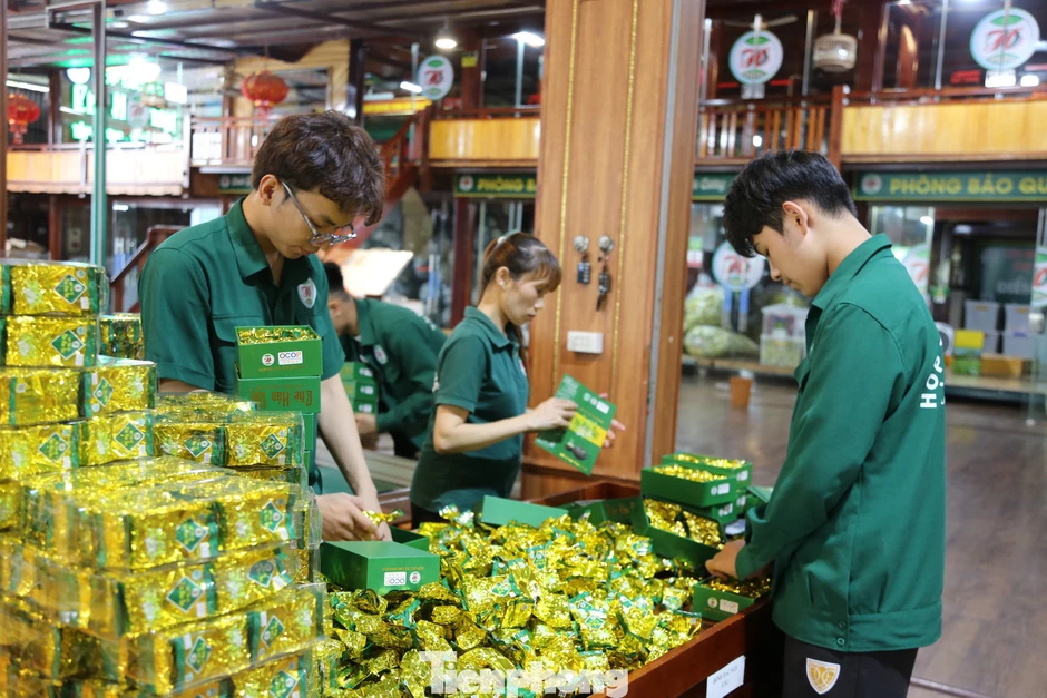 Bạt ngàn đồi chè vùng Tân Cương