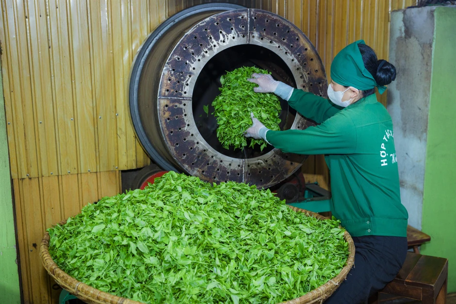 Bạt ngàn đồi chè vùng Tân Cương