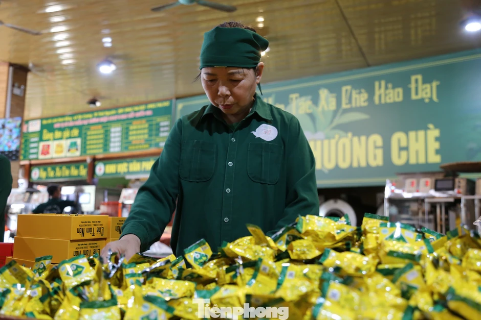 Bạt ngàn đồi chè vùng Tân Cương