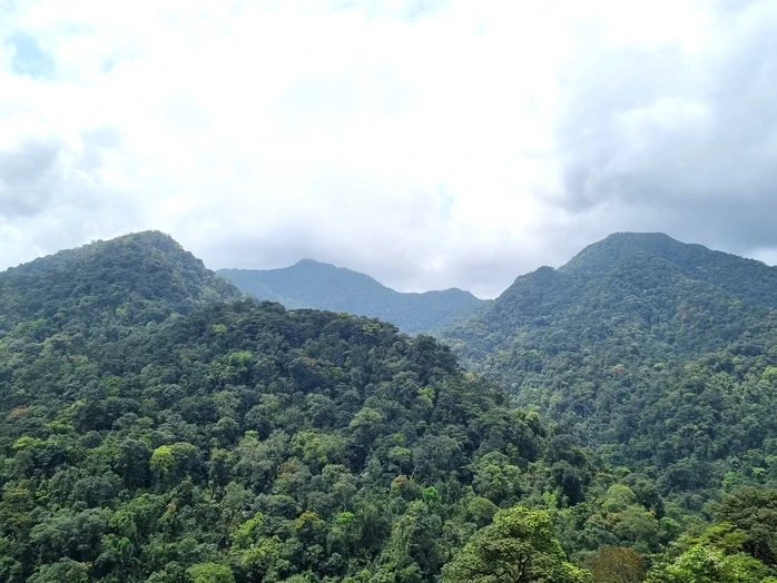 Bất ngờ phát hiện 2 loài thực vật mới ở Động Châu - Khe Nước Trong Bất ngờ phát hiện 2 loài thực vật mới ở Động Châu - Khe Nước Trong