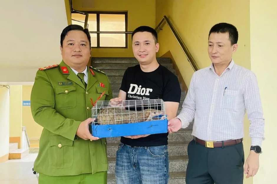 Bất ngờ phát hiện tê tê quý hiếm trên đường phố Bất ngờ phát hiện tê tê quý hiếm trên đường phố
