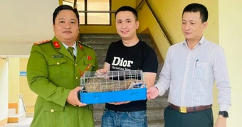 Bất ngờ phát hiện tê tê quý hiếm trên đường phố