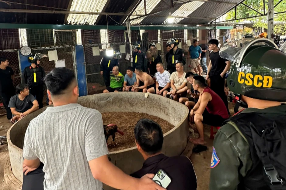 Bắt nhiều người tại điểm cá cược đá gà quy mô lớn ở Lạng Sơn Bắt nhiều người tại điểm cá cược đá gà quy mô lớn ở Lạng Sơn
