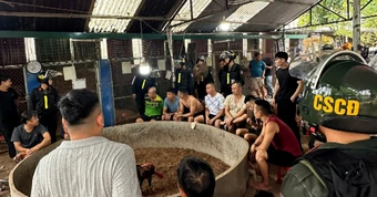 Bắt nhiều người tại điểm cá cược đá gà quy mô lớn ở Lạng Sơn