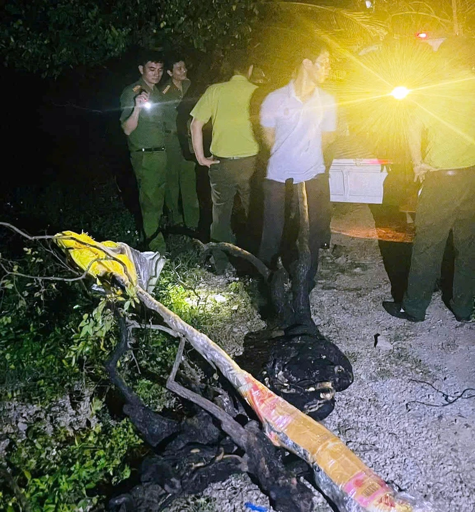 Bắt quả tang nam thanh niên khai thác trái phép 6 cây muội hồng ở Ninh Bình