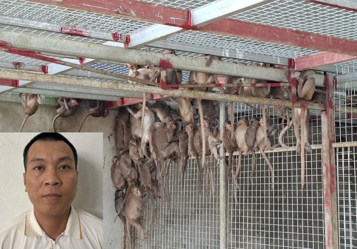 Bắt xe khách liên tỉnh chở 181 con khỉ, 16 con rái cá và 14 chim hồng hoàng Bắt xe khách liên tỉnh chở 181 con khỉ, 16 con rái cá và 14 chim hồng hoàng