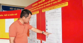 Bầu cử Quốc hội: Một người đại diện bỏ phiếu cho cả nhà được không?