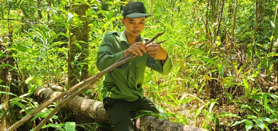 Báu vật Chư Mom Ray: Phục hồi 'kho báu' rừng nguyên sinh Báu vật Chư Mom Ray: Phục hồi 'kho báu' rừng nguyên sinh