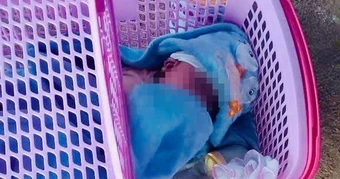 Bé trai được đặt trước cửa nhà dân kèm bức thư nhiều nghi vấn