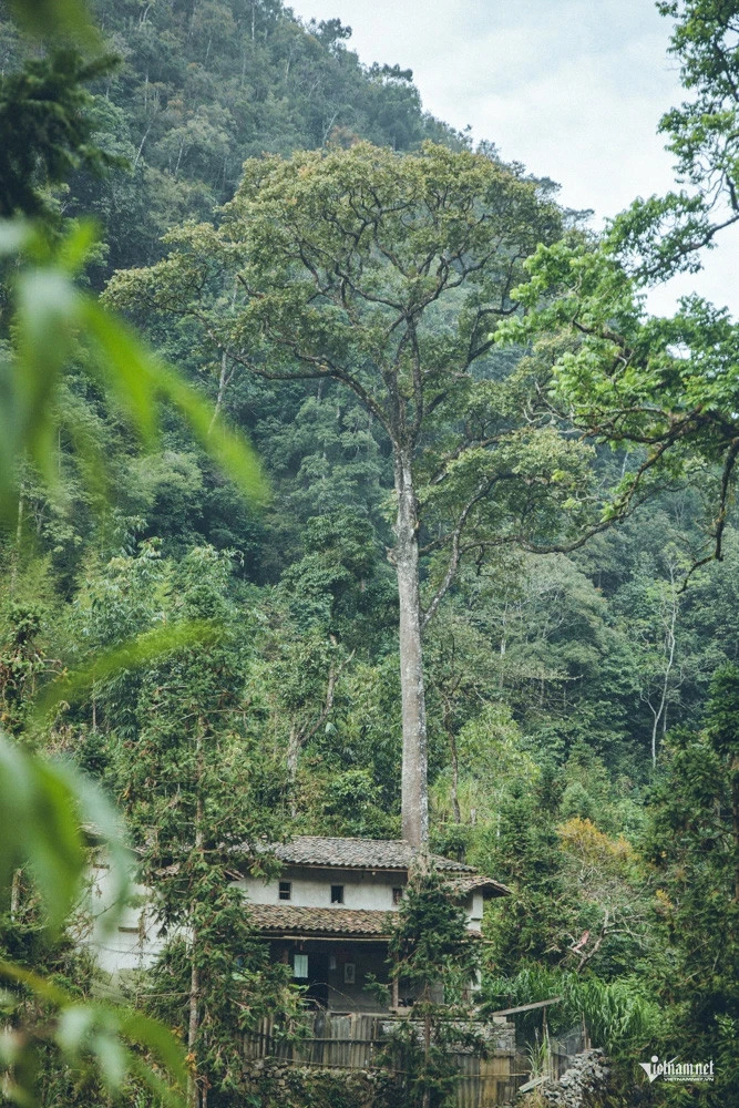 Bên trong “Làng Địa ngục” ở Yên Minh Bên trong “Làng Địa ngục” ở Yên Minh