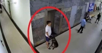 Bị nhắc đeo rọ mõm, chủ chó đánh gục thành viên ban quản trị chung cư