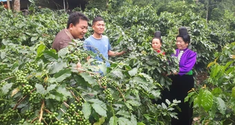 Bí thư 39 tuổi xóa '5 không' ở bản nghèo