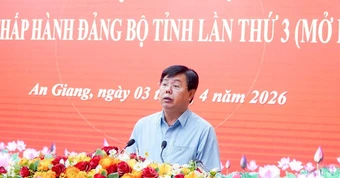 Bí thư An Giang: 'Không nhất thiết duy trì diện tích lúa quá lớn nếu hiệu quả thấp'
