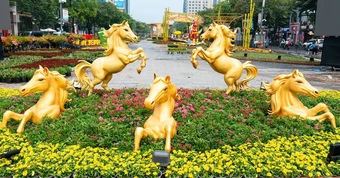 Bính Ngọ - lửa trong chuyển động