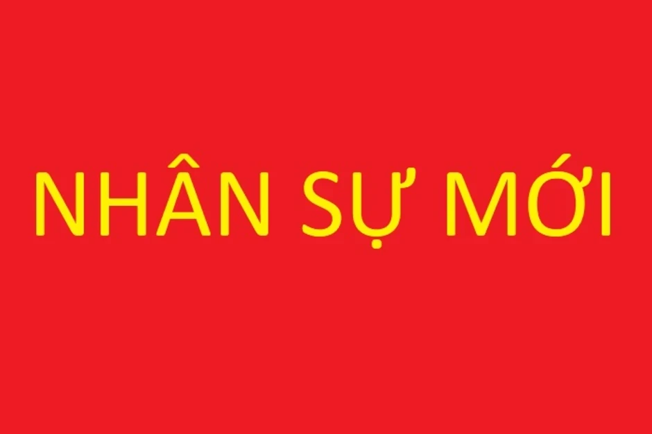 Bổ nhiệm Trợ lý Thủ tướng, Trợ lý Phó Thủ tướng Thường trực Chính phủ Bổ nhiệm Trợ lý Thủ tướng, Trợ lý Phó Thủ tướng Thường trực Chính phủ
