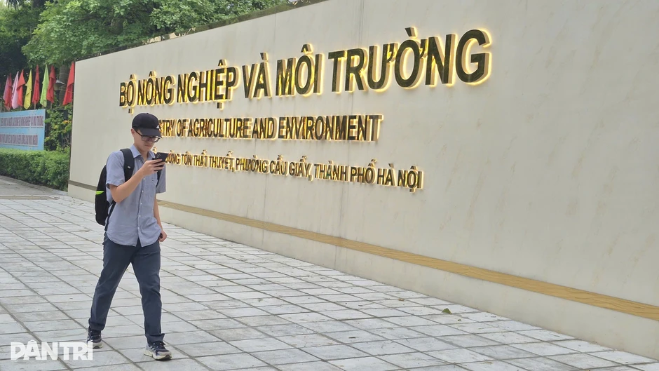 Bộ NN&MT nói gì về phản ánh chồng chéo trong hồ sơ chứng minh gỗ hợp pháp? Bộ NN&MT nói gì về phản ánh chồng chéo trong hồ sơ chứng minh gỗ hợp pháp?
