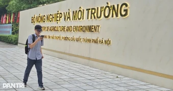 Bộ NN&MT nói gì về phản ánh chồng chéo trong hồ sơ chứng minh gỗ hợp pháp?