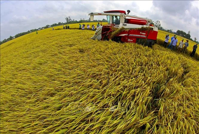 Bộ Nông nghiệp và Môi trường đề xuất cắt giảm mạnh thủ tục hành chính Bộ Nông nghiệp và Môi trường đề xuất cắt giảm mạnh thủ tục hành chính