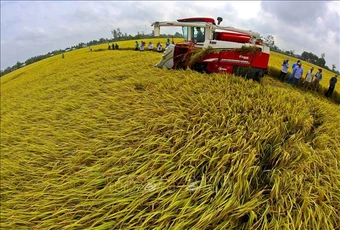 Bộ Nông nghiệp và Môi trường đề xuất cắt giảm mạnh thủ tục hành chính