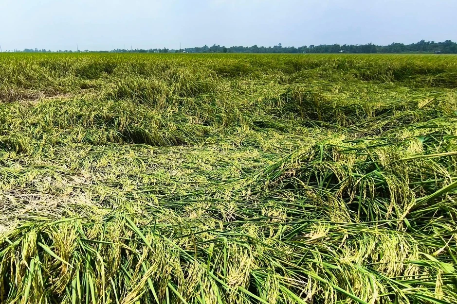 Cà Mau cảnh báo mưa lớn kéo dài và nhiều đợt triều cường nặng Cà Mau cảnh báo mưa lớn kéo dài và nhiều đợt triều cường nặng