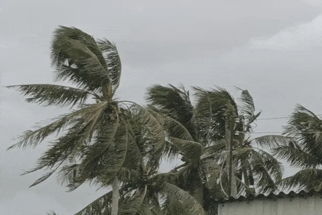 Cà Mau lý giải hiện tượng không khí mờ đi làm giảm tầm nhìn Cà Mau lý giải hiện tượng không khí mờ đi làm giảm tầm nhìn