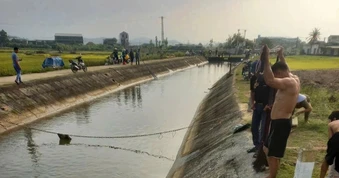 Cá nổi dày đặc bất thường trên sông, dân rủ nhau kéo lưới