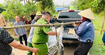 Cá sấu lớn bất ngờ xuất hiện trong khu dân cư ở Quảng Ninh