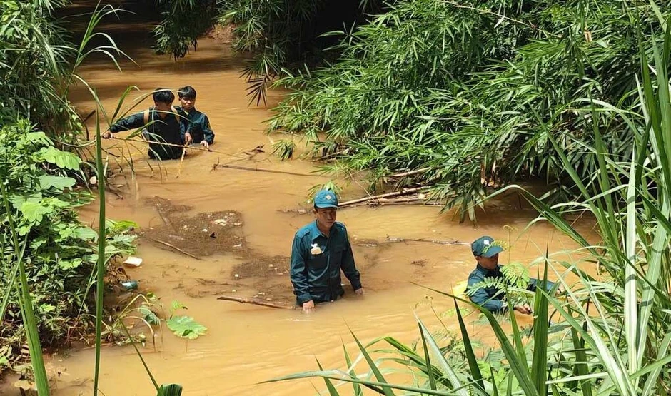 Cá sấu xuất hiện ở suối tại Đồng Nai