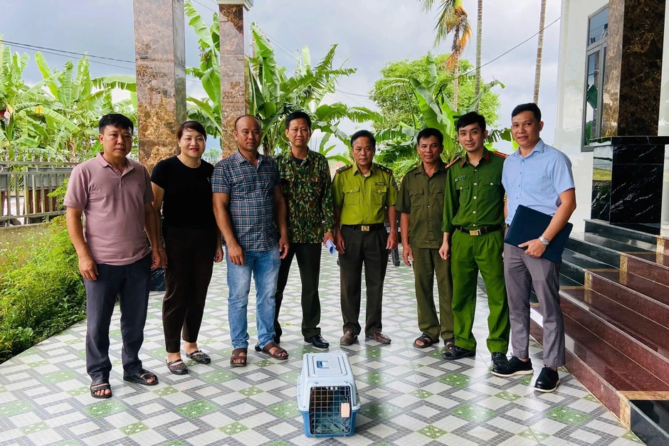 Cá thể động vật quý hiếm nằm trong sách đỏ lạc vào nhà dân Cá thể động vật quý hiếm nằm trong sách đỏ lạc vào nhà dân