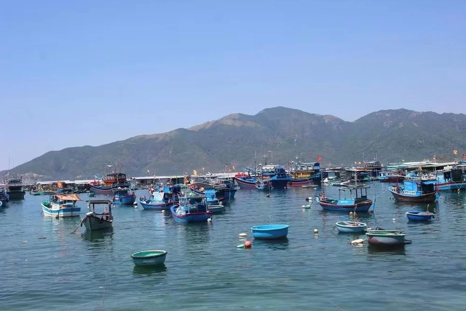 Cách đất liền Nha Trang Khánh Hòa chỉ hơn 1km, vì sao một hòn đảo chưa 'nhuốm bụi' đô thị hóa? Cách đất liền Nha Trang Khánh Hòa chỉ hơn 1km, vì sao một hòn đảo chưa 'nhuốm bụi' đô thị hóa?