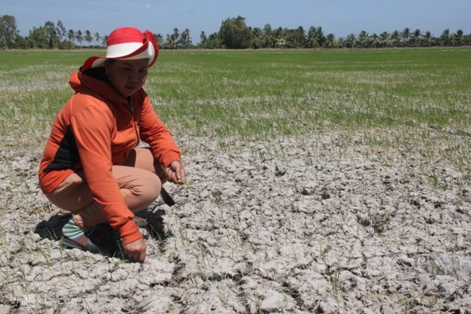 Cần bản đồ rủi ro cho từng vùng để ứng phó với El Nino rất mạnh Cần bản đồ rủi ro cho từng vùng để ứng phó với El Nino rất mạnh