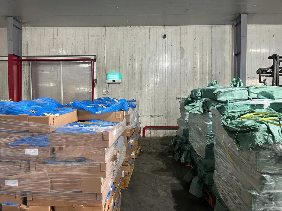 Cận cảnh 260 tấn chân gà đông lạnh hết hạn, mốc trắng chuẩn bị đưa ra thị trường tiêu thụ Cận cảnh 260 tấn chân gà đông lạnh hết hạn, mốc trắng chuẩn bị đưa ra thị trường tiêu thụ