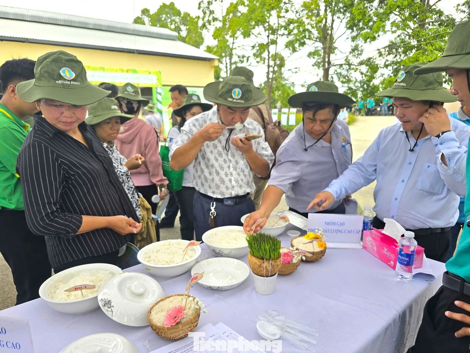 Cần có gạo Việt xanh, phát thải thấp Cần có gạo Việt xanh, phát thải thấp