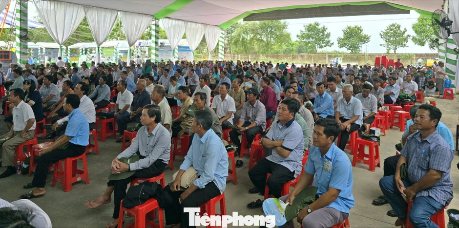 Cần có gạo Việt xanh, phát thải thấp Cần có gạo Việt xanh, phát thải thấp