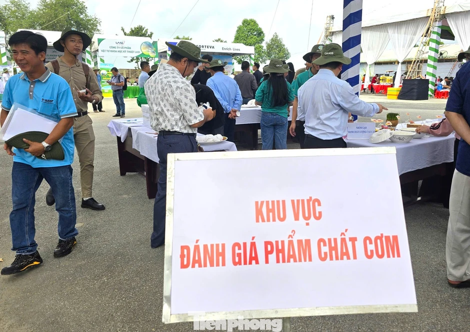 Cần có gạo Việt xanh, phát thải thấp Cần có gạo Việt xanh, phát thải thấp