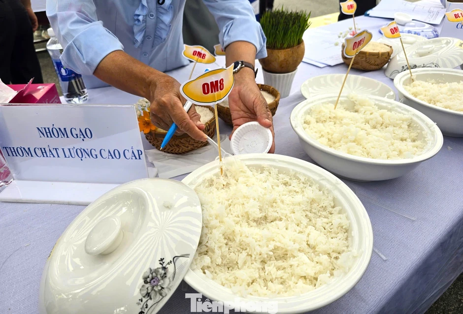 Cần có gạo Việt xanh, phát thải thấp Cần có gạo Việt xanh, phát thải thấp