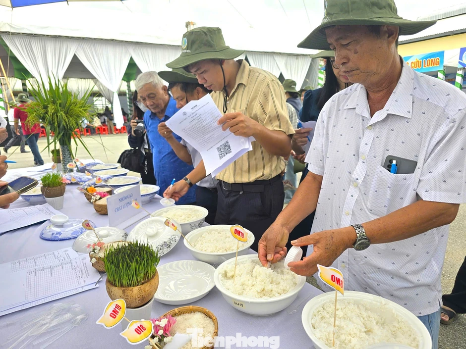 Cần có gạo Việt xanh, phát thải thấp Cần có gạo Việt xanh, phát thải thấp