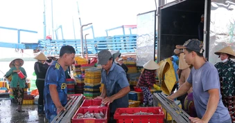 Cần Thơ sẽ xây dựng các dự án lấn biển quy mô lớn