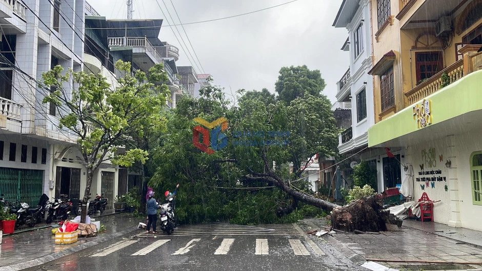 Cập nhật Bão số 1: Quảng Ninh nhiều nơi đã mất điện, gió rít liên hồi, yêu cầu người dân không ra đường Cập nhật Bão số 1: Quảng Ninh nhiều nơi đã mất điện, gió rít liên hồi, yêu cầu người dân không ra đường