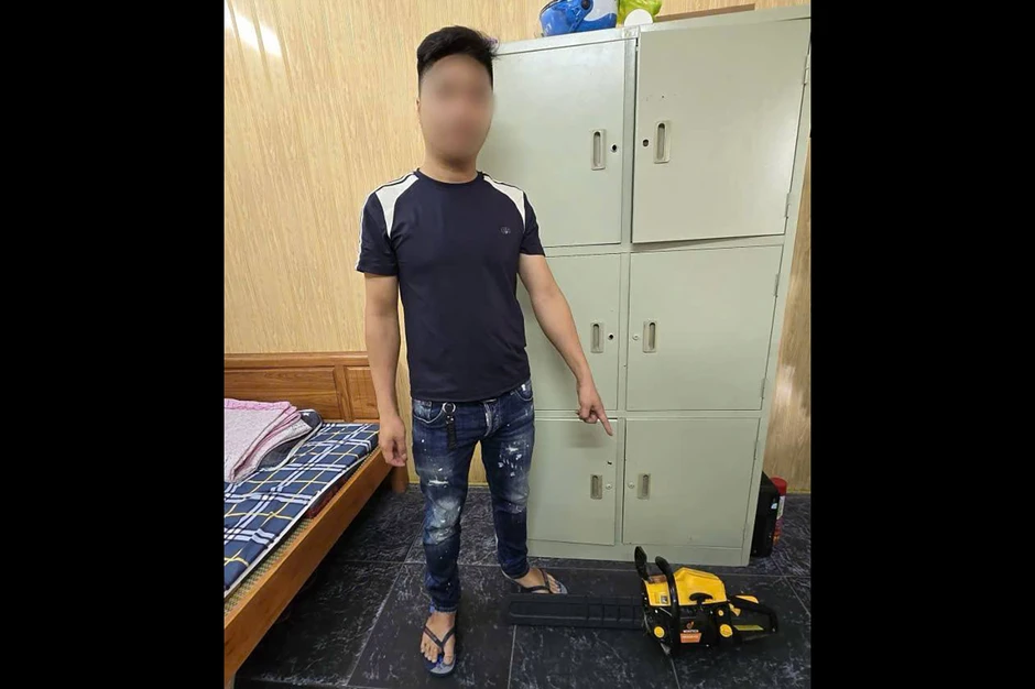 Cây thị trăm tuổi bị nam thanh niên cưa ngang thân Cây thị trăm tuổi bị nam thanh niên cưa ngang thân