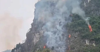 Cháy rừng phòng hộ ở Ninh Bình do sét đánh