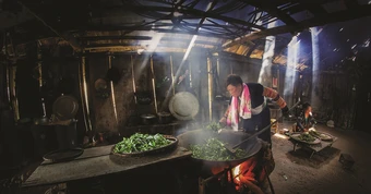 Chè Giàng Pằng vươn ra thế giới, người Mông làm giàu trên mảnh đất của mình
