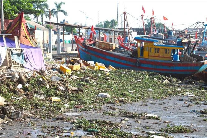 Chỉ đạo xác minh, làm rõ nội dung TTXVN phản ánh về tình trạng ô nhiễm tại cảng cá, khu neo đậu Lạch Vạn Chỉ đạo xác minh, làm rõ nội dung TTXVN phản ánh về tình trạng ô nhiễm tại cảng cá, khu neo đậu Lạch Vạn
