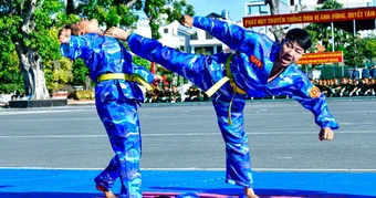 Chiến sỹ TPHCM biểu diễn võ thuật trước lễ ra quân huấn luyện