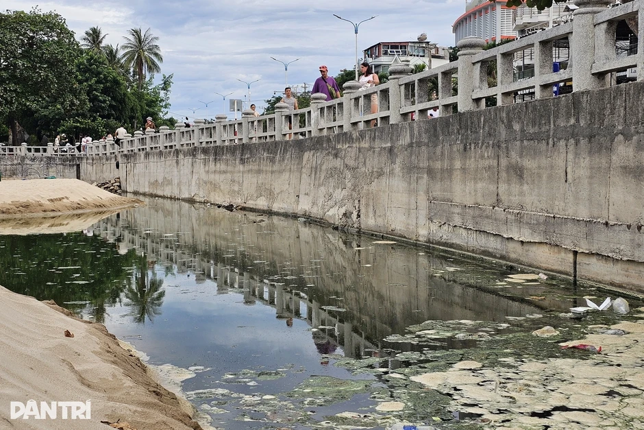 Chính quyền khẩn trương xử lý dòng nước đen ở biển sau phản ánh của Dân trí Chính quyền khẩn trương xử lý dòng nước đen ở biển sau phản ánh của Dân trí