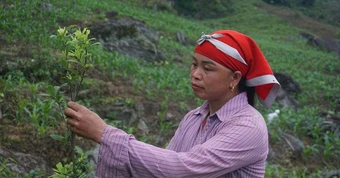 Chính sách dân tộc tạo lực đẩy để vùng cao chuyển mình
