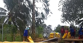 Chính sách tạm trữ lúa... chậm nhịp
