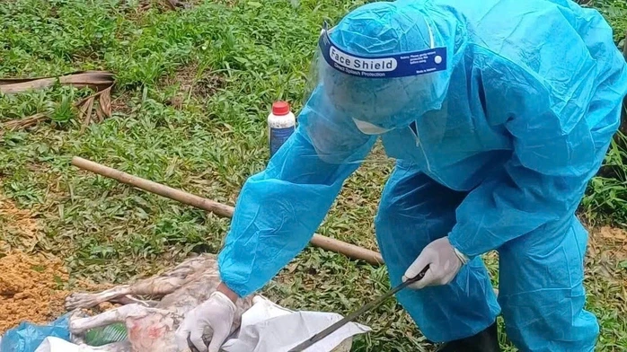 Chó dại tuột xích cắn 3 người dân ở Đà Nẵng bị thương Chó dại tuột xích cắn 3 người dân ở Đà Nẵng bị thương