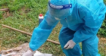 Chó dại tuột xích cắn 3 người dân ở Đà Nẵng bị thương